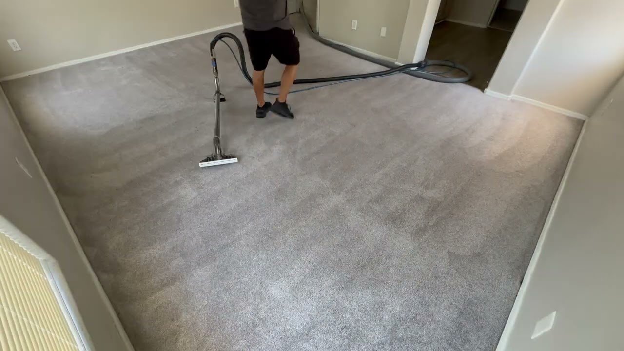 Carpet Cleaning Portfolio 8
